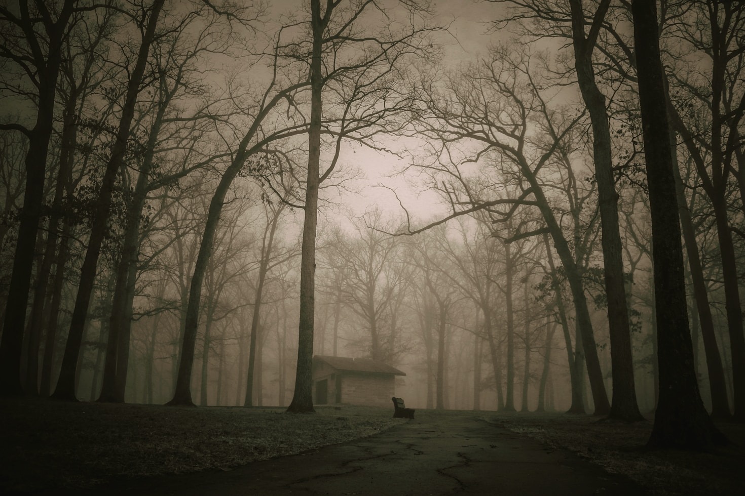 Meet the Ghosts of Mariposa’s Past